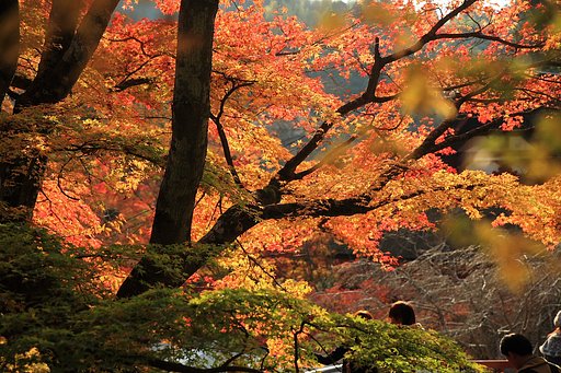 談山神社