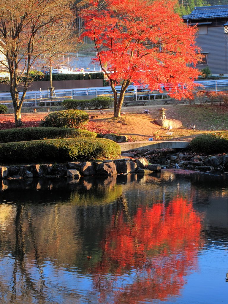 【2008】紅葉