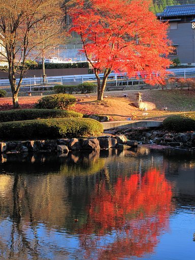 【2008】紅葉