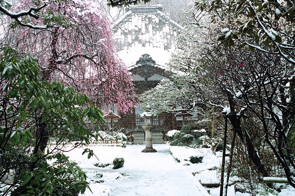 雪降りて、無量寺