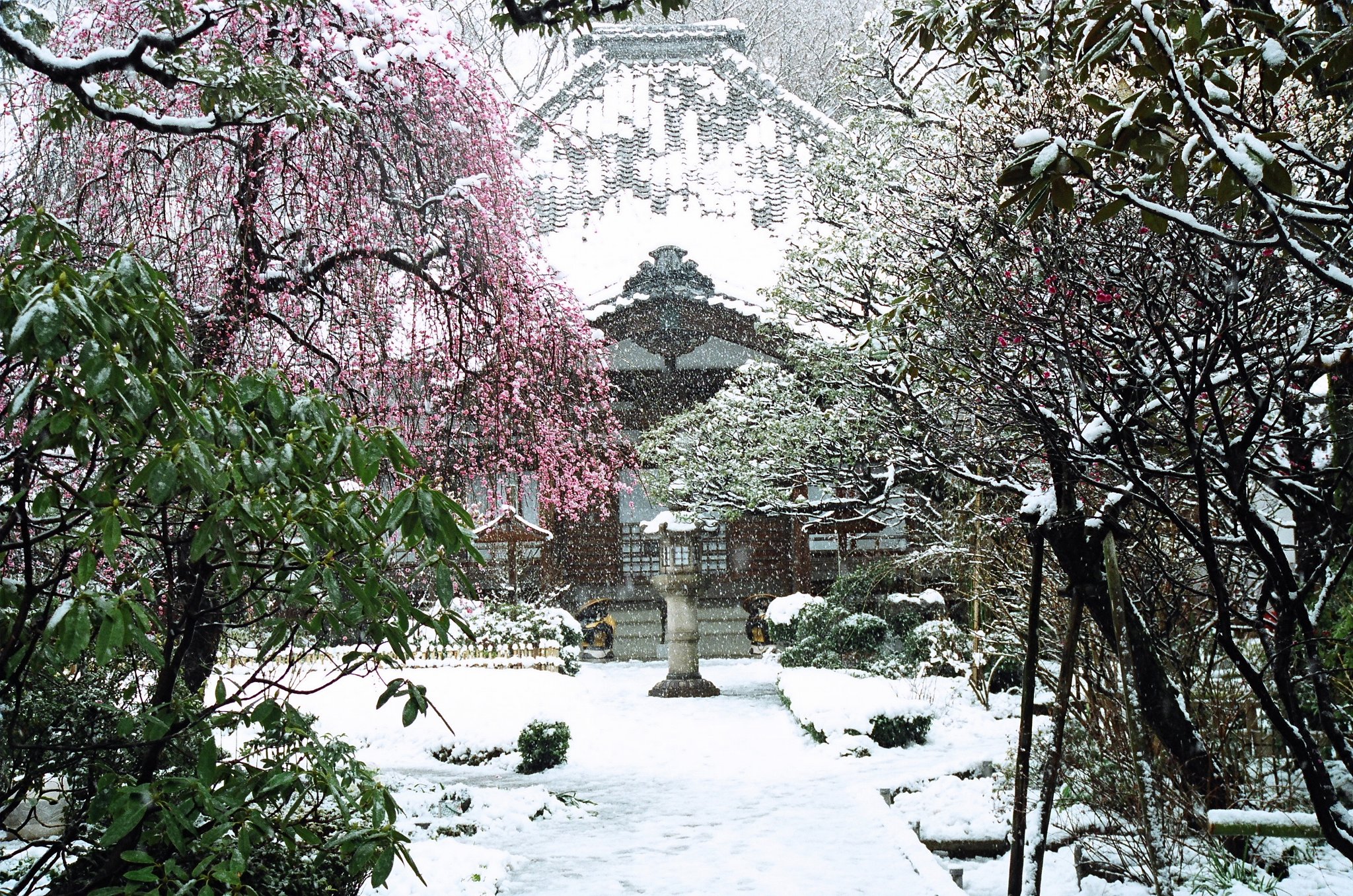 雪降りて、無量寺