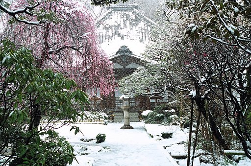 雪降りて、無量寺