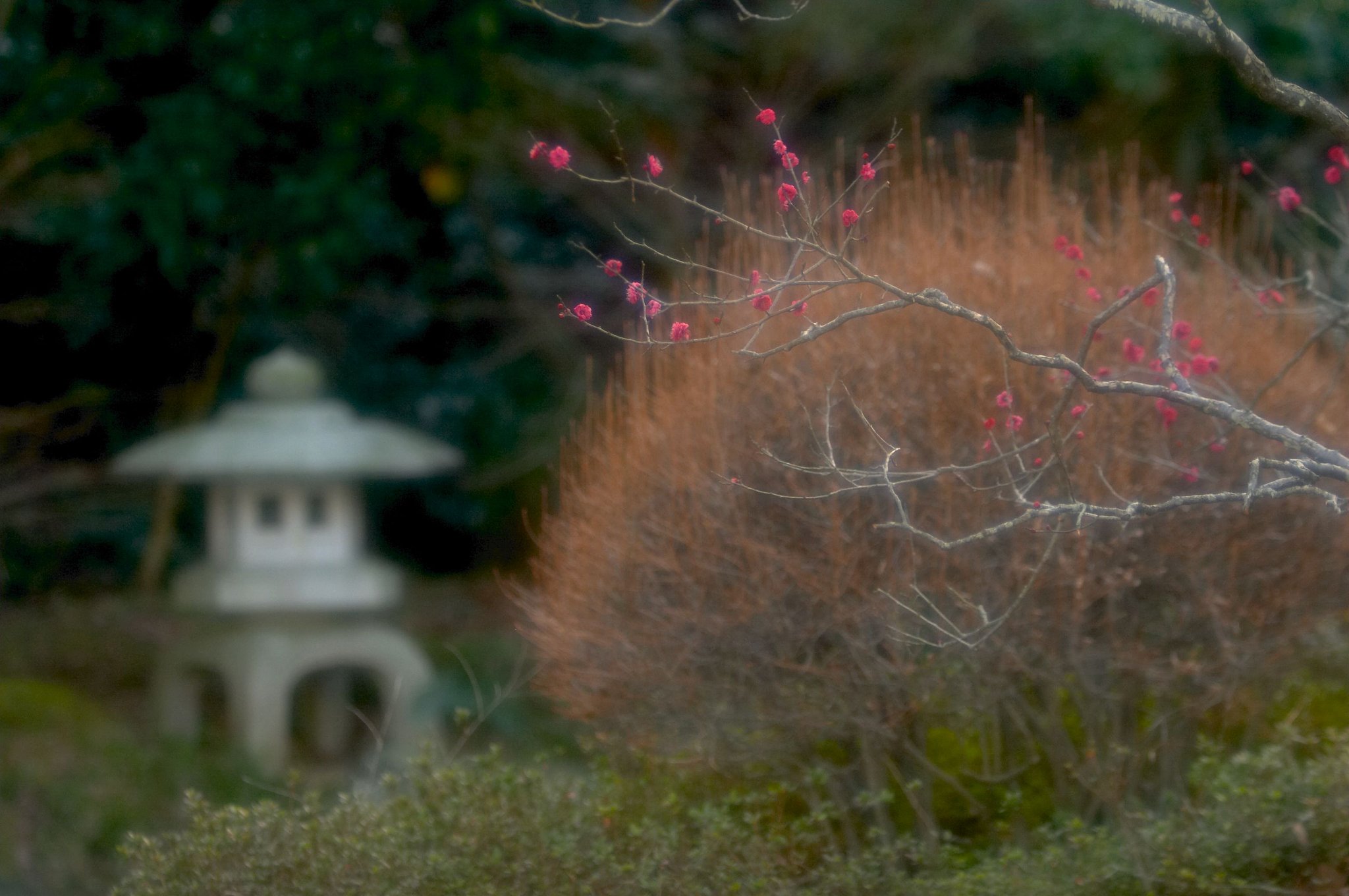 近くの公園にて