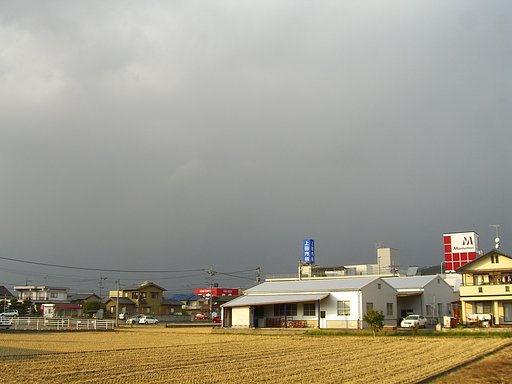 ますます冬空