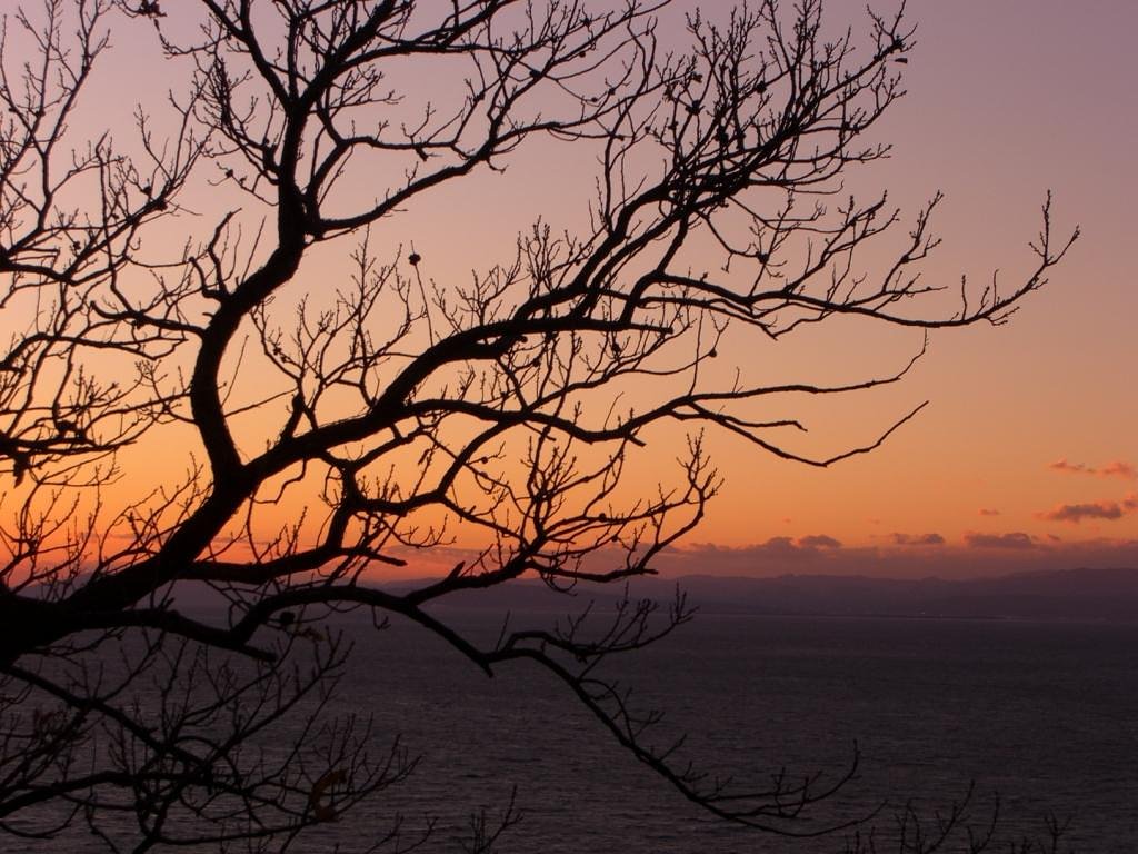 冬の夕焼け