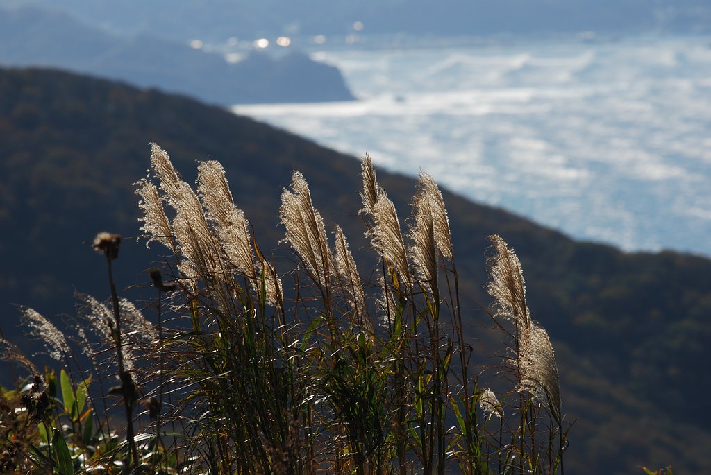 日本海
