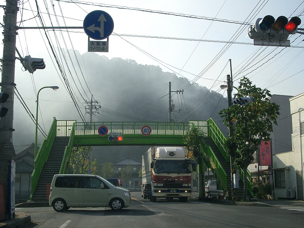 朝霧