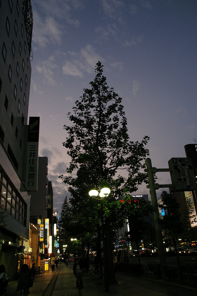 思い出の道の中で