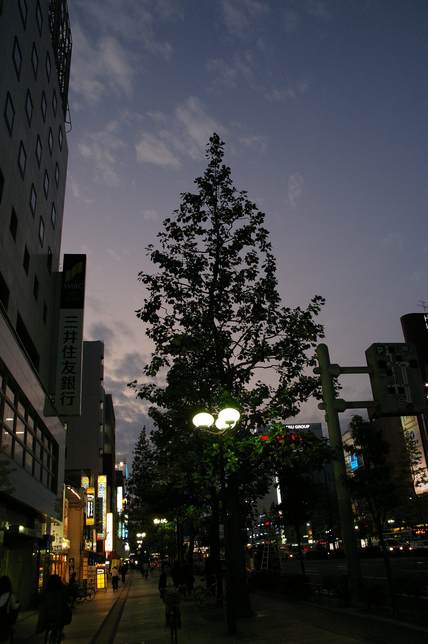 思い出の道の中で