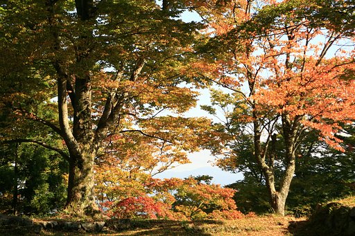 高取城跡の紅葉