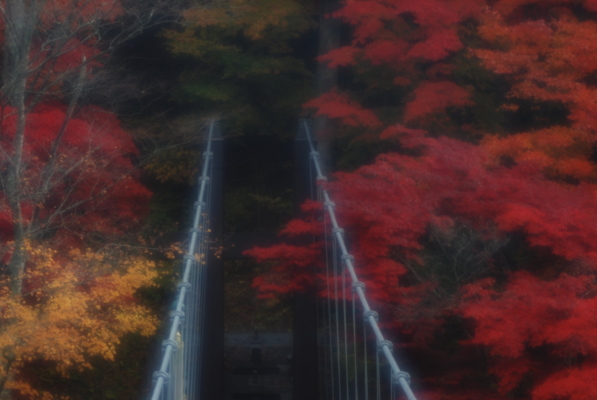 塩原の紅葉