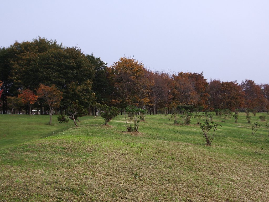 公園3