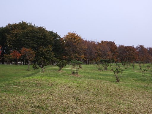 公園3