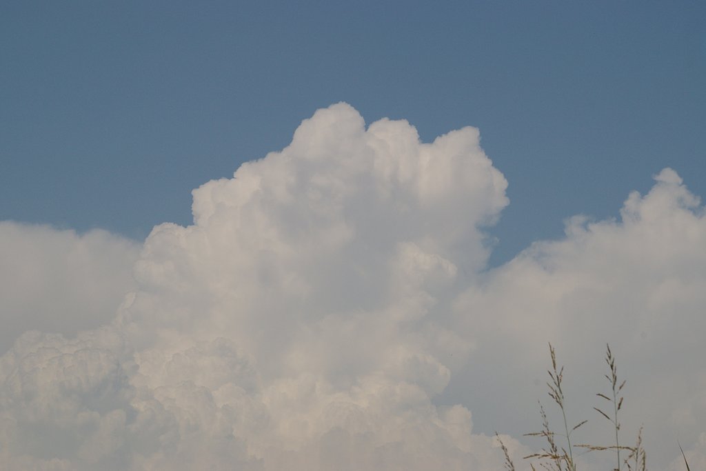 雲