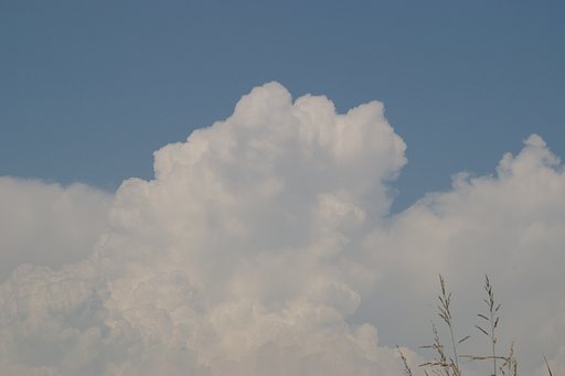 雲