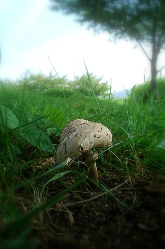 stoneさんへの贈り物