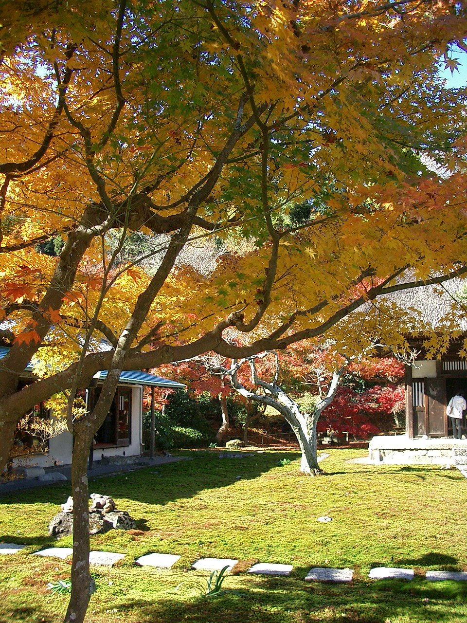 〜　いざ鎌倉（長寿寺-05）　〜