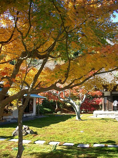 〜　いざ鎌倉（長寿寺-05）　〜