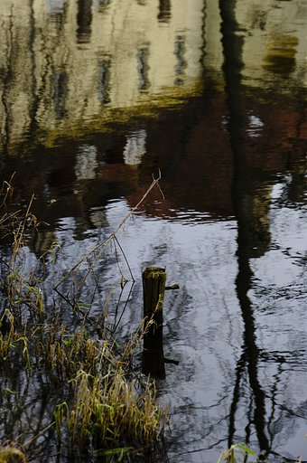 Reflection in water