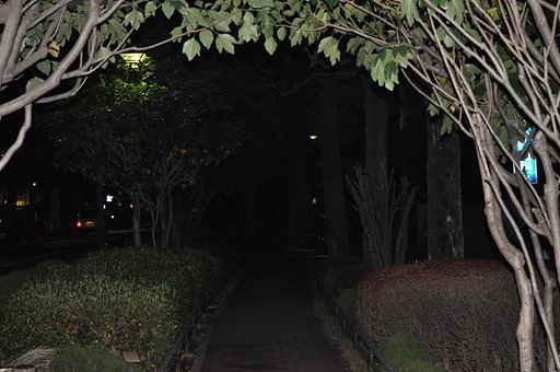 ユリノ木公園にて