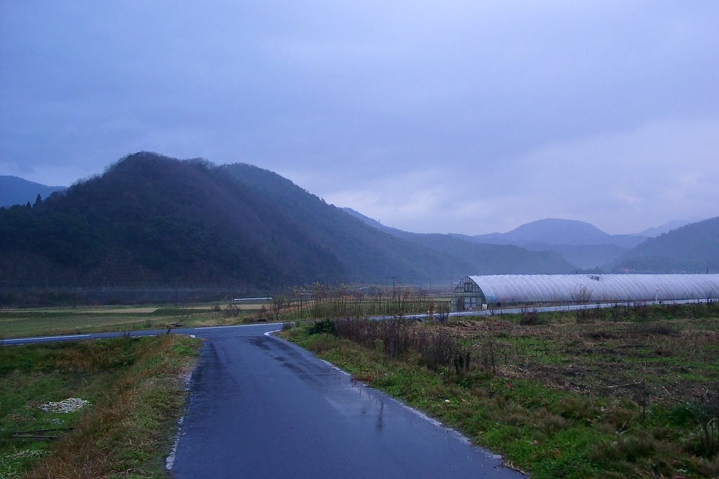 雨降りの東の空！