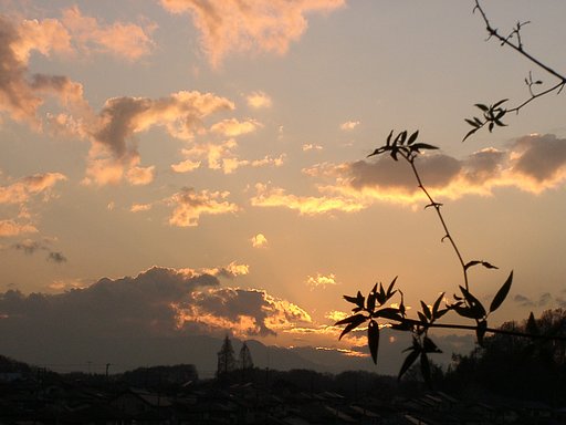 ★年の瀬の夕暮れ③