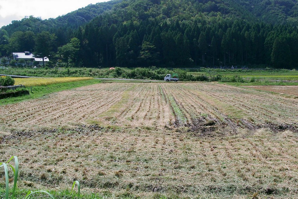 稲刈り終了し広々した田んぼに！