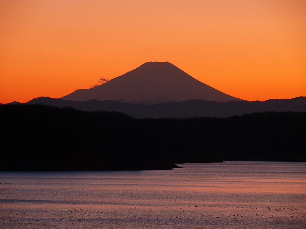 来年もよろしく