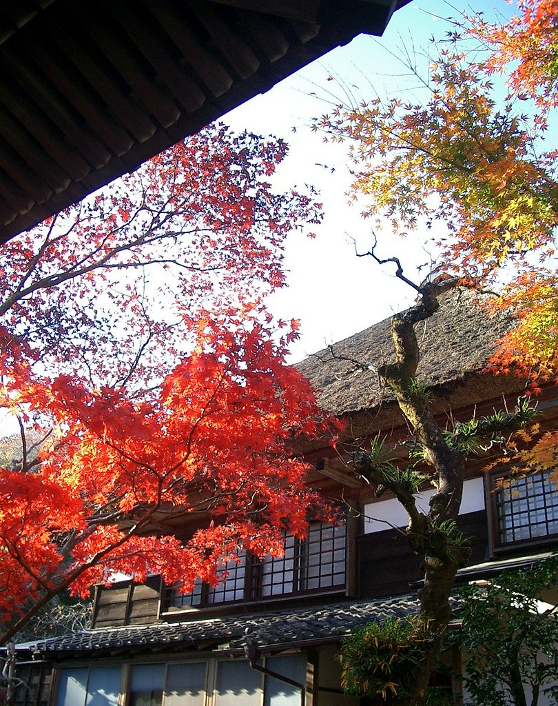 〜　いざ鎌倉（海蔵寺-0１）　〜