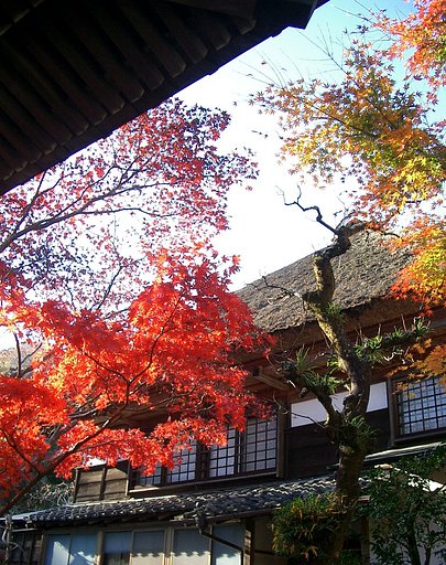 〜　いざ鎌倉（海蔵寺-0１）　〜