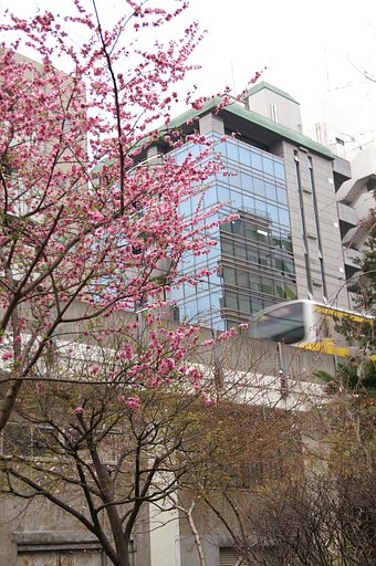 ラジオ体操発祥の地