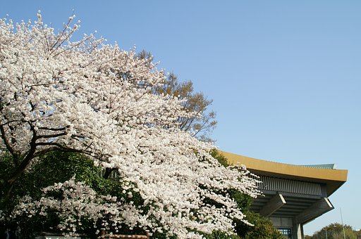 武道館前
