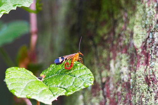「瞬」さてこれは何でしょう？