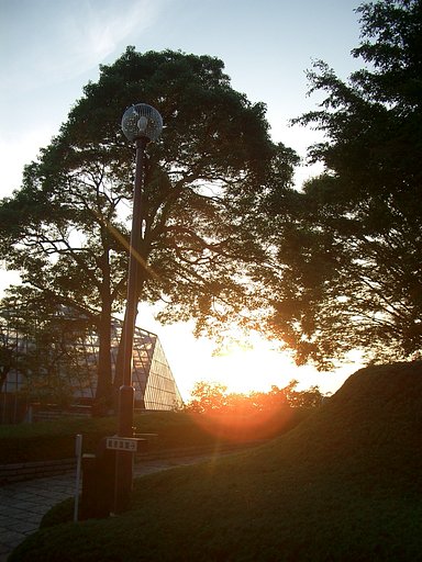 〜　夕日　〜