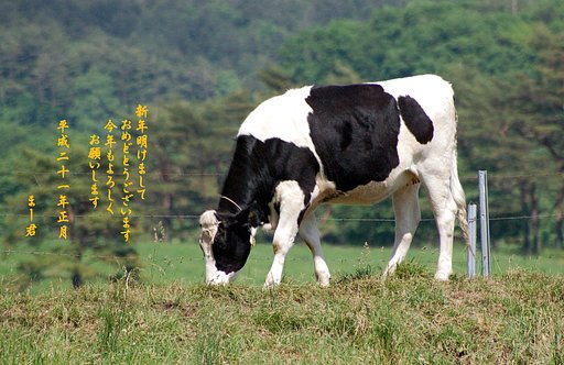 今年もよろしく