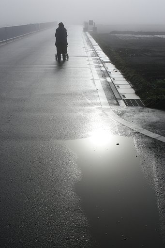 雨後の翌朝