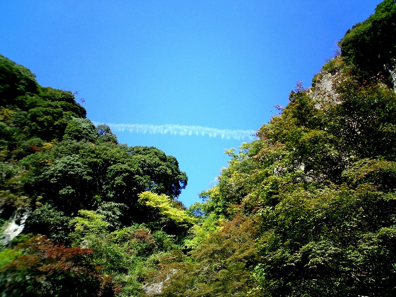 ヒコーキ雲