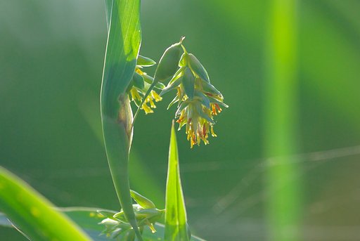 静かな池の淵にて