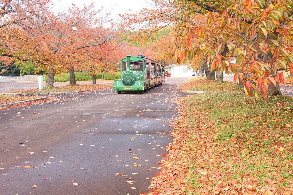 桜紅葉