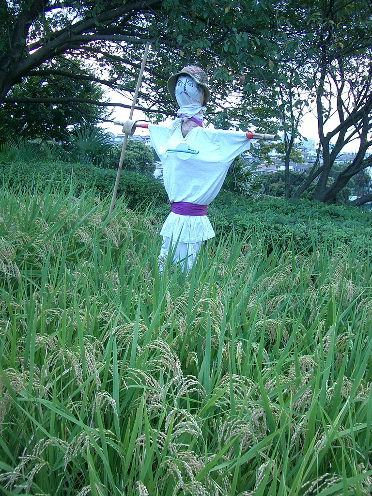 〜　案山子　〜