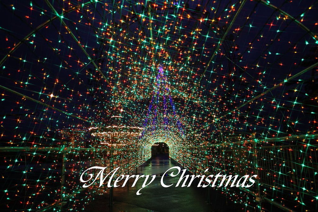 Merry Christmas!