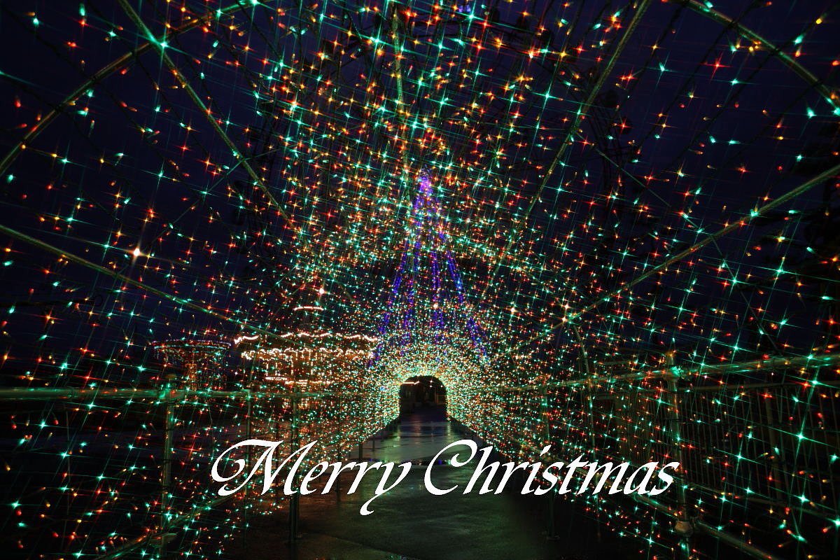 Merry Christmas!