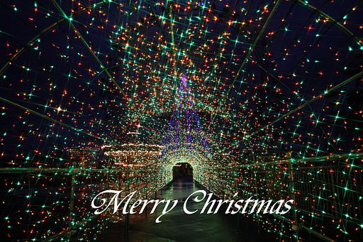 Merry Christmas!