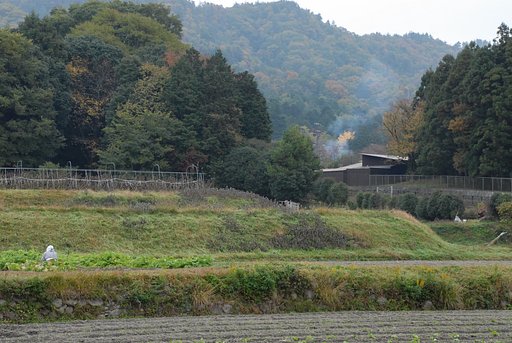 山里