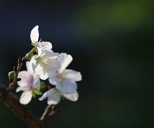 55-300Ⅰ