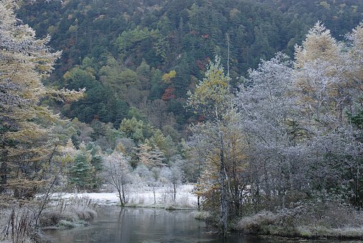 【瞬】朝の一瞬(ひととき)