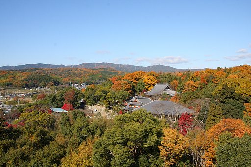 【２００８】晩秋