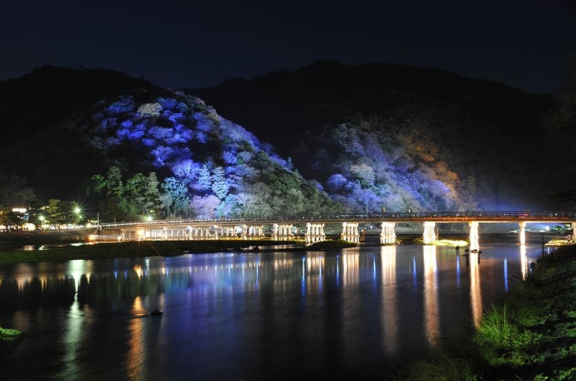 嵐山夜景