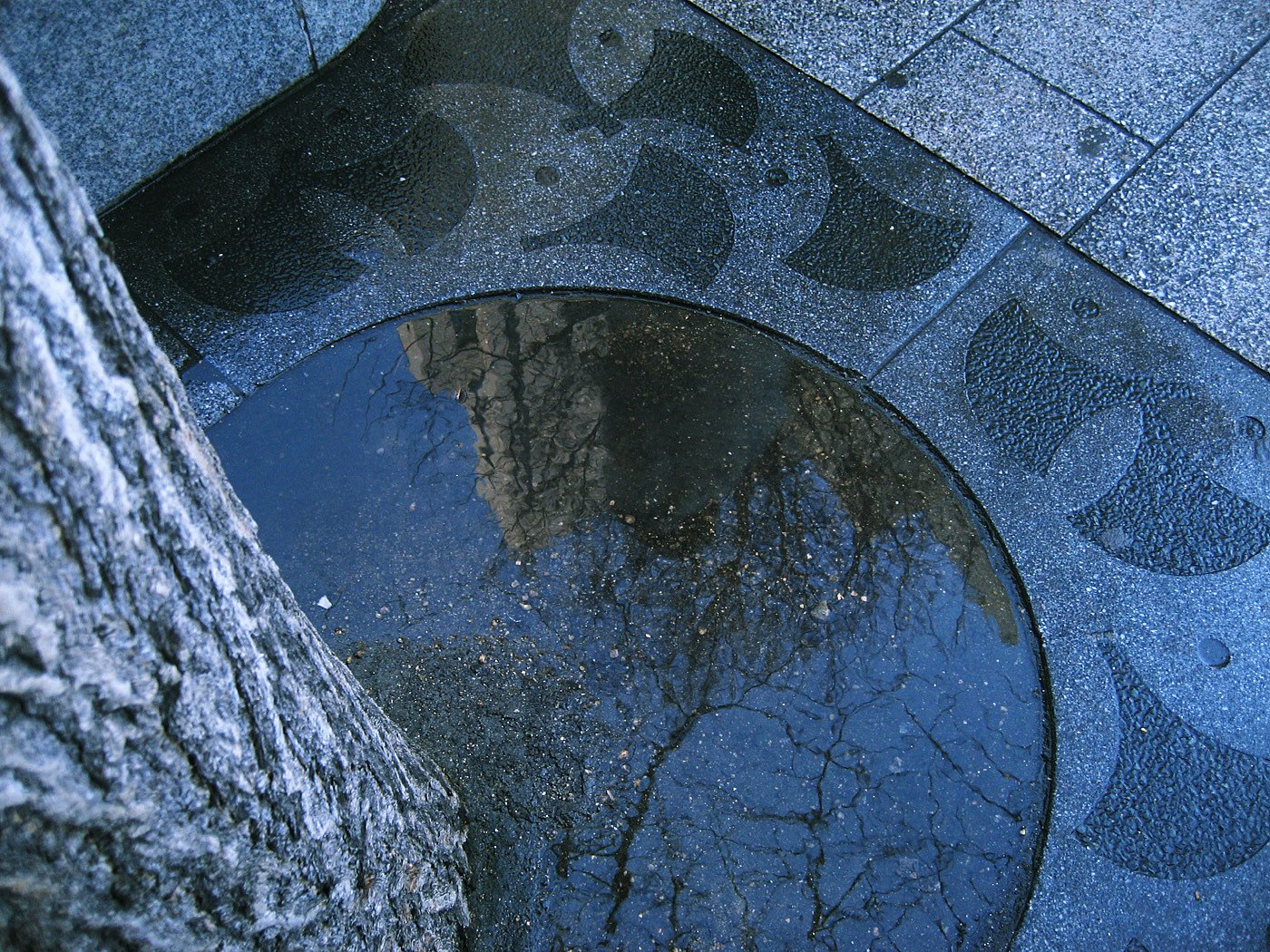 【2008】２月の雨、足元の御堂筋