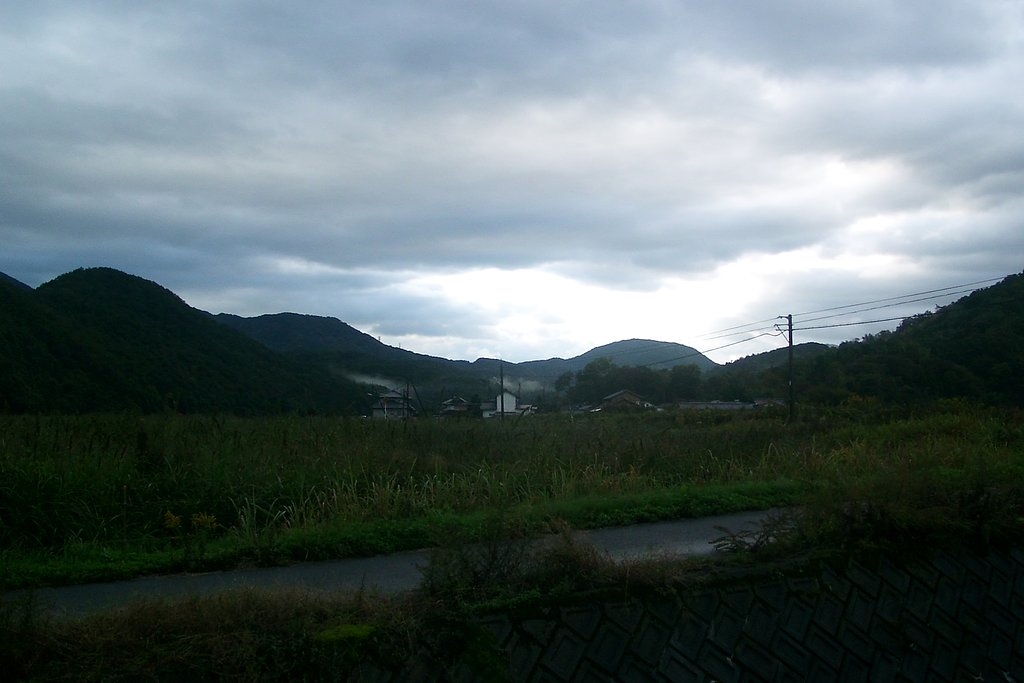 雨上がりの東のお空！